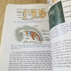 PHÔI THAI HỌC   996073