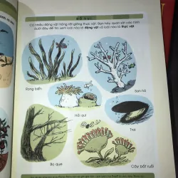 Khoa học thật hấp dẫn  1010087