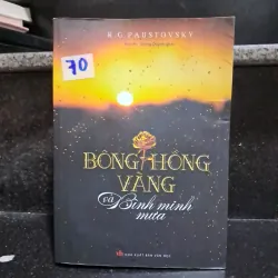Bông hồng vàng và bình minh mưa