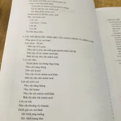 NHU CẦU DINH DƯỠNG CỦA LỢN 990562