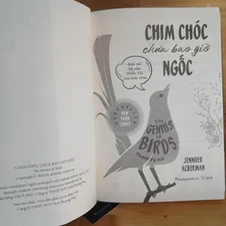Chim Chóc Chưa Bao Giờ Ngốc - Jennifer Ackerman 739569