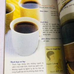 🍵 TRÀ CUNG CẤP NĂNG LƯỢNG 488581