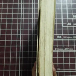 Việt Nam cái nhìn địa - văn hóa - Trần Quốc Vượng 731169