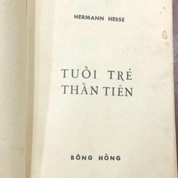 TUỔI TRẺ THẦN TIÊN - HERMAN HESSE 463905