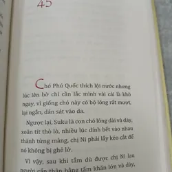 CON CHÓ NHỎ MANG GIỎ HOA HỒNG - NGUYỄN NHẬT ÁNH 735584