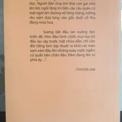 Hoa Gạo Đáy Hồ 736359