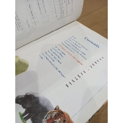 Merriam-webster's Elementary Dictionary 574102