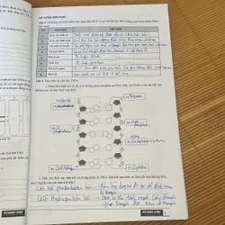 sách sinh học hoàng long 2024 tập 1 708594