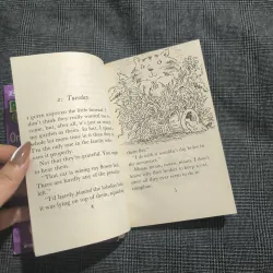 Combo sách chapter: Dinosaur Club (On the trail of a T. Rex) + The diary of a killer cat 755741