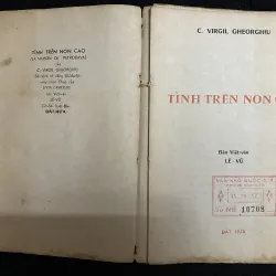 Tình trên non cao- Gheorchu 999428