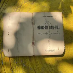 ĐỒNG ÂM DẪN GIẢI VÀ MẸO LUẬT CHÍNH TẢ- TRẦN VĂN THANH 713223