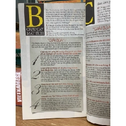 Trái tim dẫn lối  2 750650