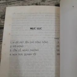 Hoàng Phủ Ngọc Tường-Ai đã đặt tên cho dòng sông. Truyện ngắn 775931