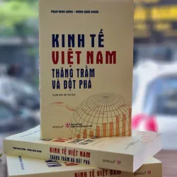 Kinh tế Việt Nam - Thăng trầm và đột phá 1044256