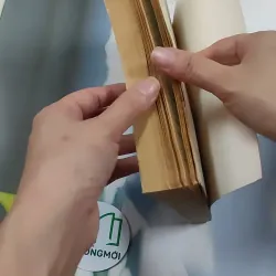 Thức Tỉnh Đi, Thế Gian Ơi! - Tỳ-kheo Revata 776133