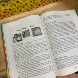 Sản Vật Việt Nam 927417