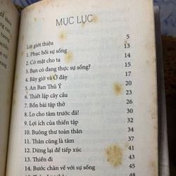 Chỉ Nam Thiền Tập Dành Cho Người Trẻ - Thích Nhật Hạnh 538888