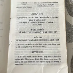 Bộ luật Hình sự 1999  307804