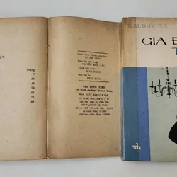 Nobel Văn chương 1937 - Tiểu thuyết Gia đình Ti Bô (tác giả Roger Martin du Gard) 703652