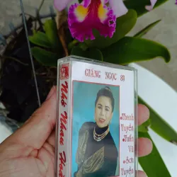 Băng Cassette Nhạc Nhớ Nhau Hoài