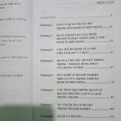 CEO VÀ QUẢN TRỊ RỦI RO  754300