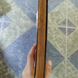 Nhập môn Thái cực Đạo đại Hàn - Tae kwon do - Phan Chấn Thanh & Choi Nam Stu 7 đẳng 708479