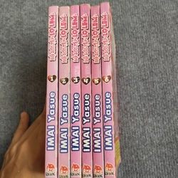 BỘ SƯU TẬP LỌ LEM - IMAI YASUE 504794