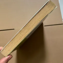 Yêu thương mẹ kế - Phan Thị Hồ Điệp 734202