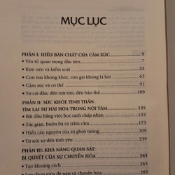 sách Cảm xúc - chuyển hóa nỗi sợ hãi, giận dữ và ghen tuông thành năng lượng sáng tạo 297507