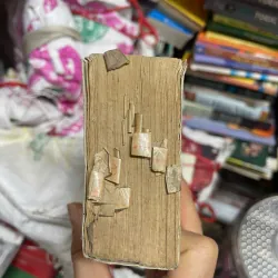 Từ điển Pháp Việt, mới 60% (DMChien) 726711