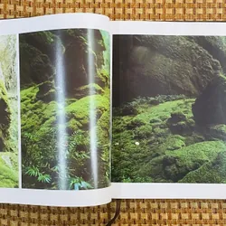 Sơn Đoòng tranh 591000