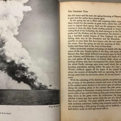 THE SEA AROUND US - Rachel L. Carson - Oxford University Press 1961  452847