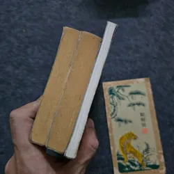 Sách tiếng Pháp Romain Gary 740722