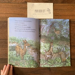 Sách ngoại văn Once Upon a Springtime, Used, minh họa đẹp 522853