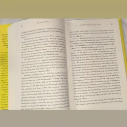 The perfect mix ( sách cũ) 746058