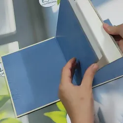 Ý Hoa ( Song Ngữ) - Hồ Anh Thái 750833