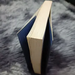 Việt Nam thời Tây Sơn: Lịch sử nội chiến 1771–1802  (Tạ Chí Đại Trường) 700564