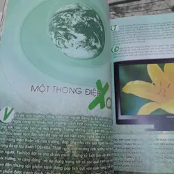 Không Gian Sống- Tạo góc Thư giãn trong nhà. Vườn cho nhà phố 734112