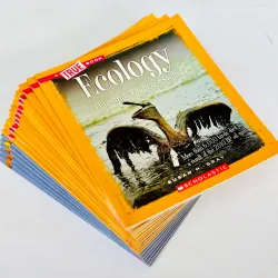 Bộ sách True book 18 cuốn cho bé tìm hiểu về vũ trụ