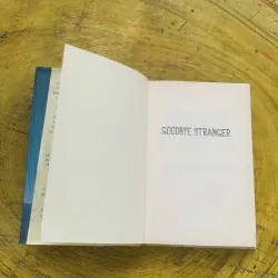 GOODBYE STRANGER - REBECCA STEAD 762299