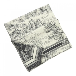 Chăn CHRISTIAN DIOR