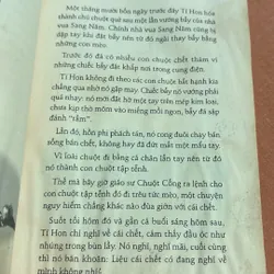 Có hai con mèo ngồi bên cửa sổ 🌊 599769