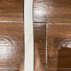 Chân trời có người bay - Đỗ Lai Thuý (8) 1004781