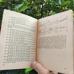 Cá Biển Việt Nam - The Marine Fishes Of VietNam - Tập 1 526446