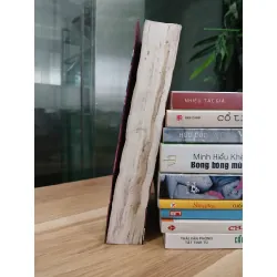 Cô nàng Sư tử – Julie Garwood
