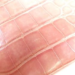 Ví Zippy da kỳ lạ Louis Vuitton N94136 620610