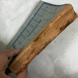 Những con chim ẩn mình chờ chết 1029692