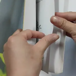 Kinh Nghiệm Niệm Phật Và Những Chuyện Luân Hồi - Cư Sĩ Diệu Âm - Diệu Ngộ 776139