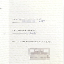 Cartier Tank Française SM W51008Q3 SS Quartz - Hàng hiệu Chính hãng 875166