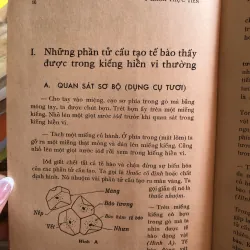 Ấp xe phổi - BS Lương Phán và BS Nguyễn Thị Lợi  1001822